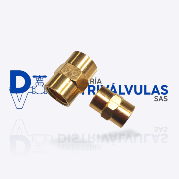 RACOR UNION NPT BRONCE - B103/538
