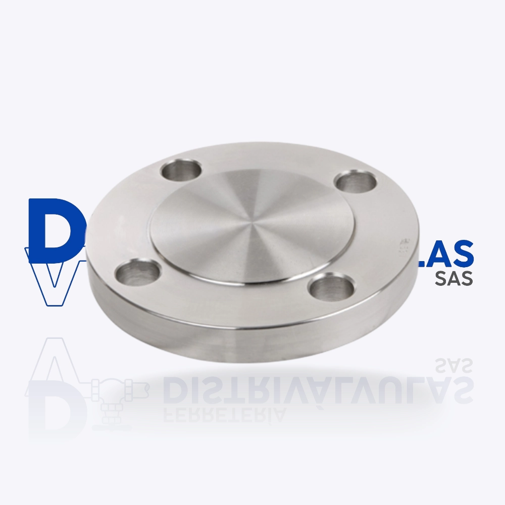 BRIDA ACERO INOX CIEGA